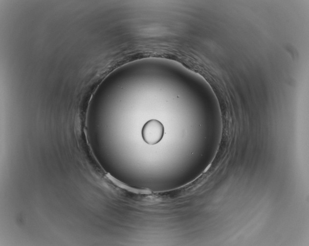 X0000112530562200908171423