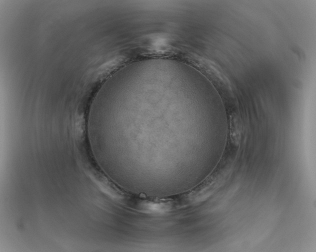 X0000112530563200908171423