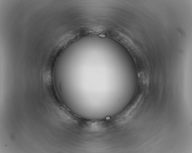 X0000112530564200908171423