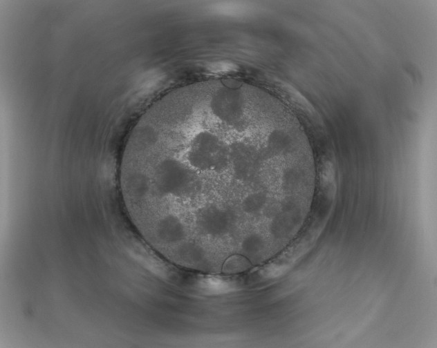 X0000112530565200908171423