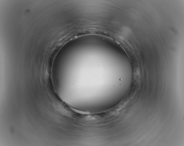 X0000112530566200908171423