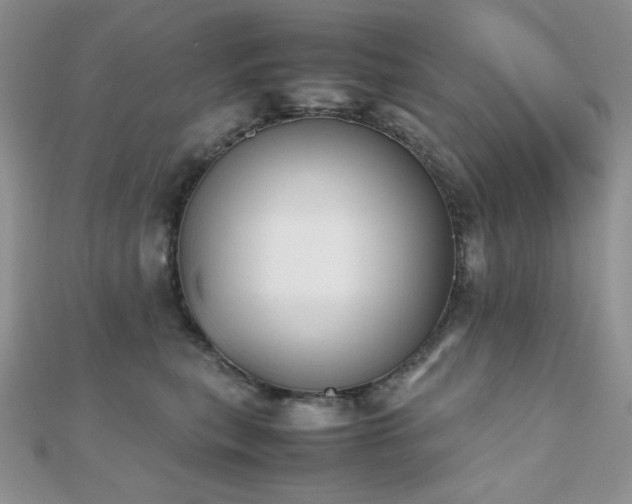 X0000112530567200908171423