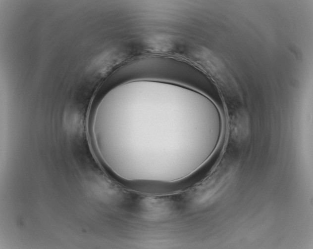 X0000112530568200908171423