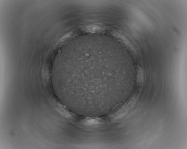 X0000112530569200908171423