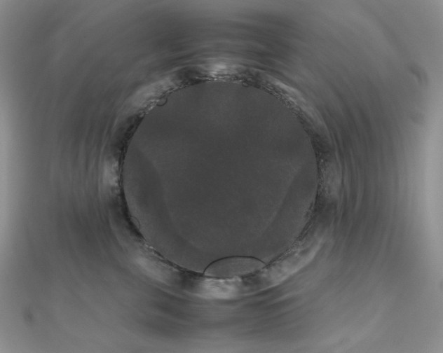 X0000112530571200908171423
