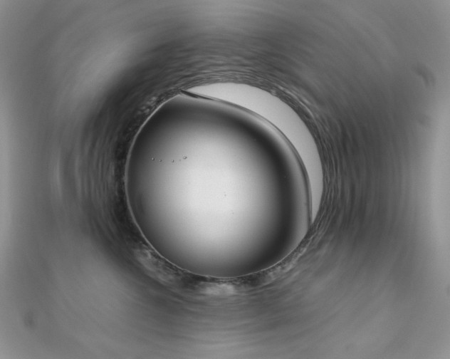 X0000112530572200908171423