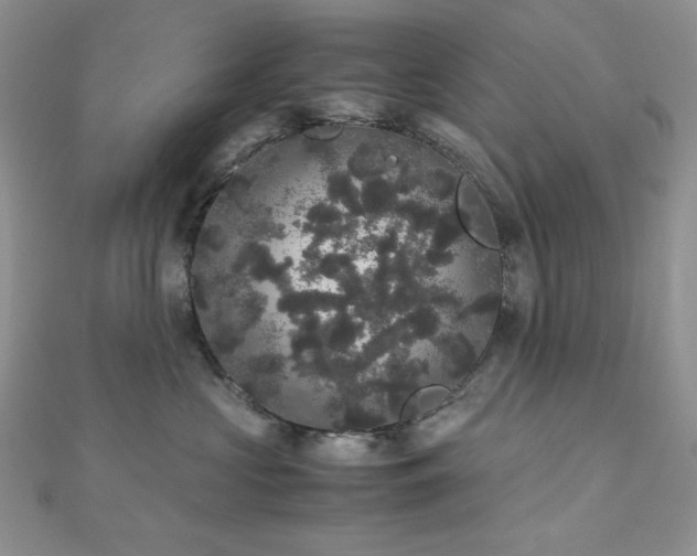 X0000112530573200908171423