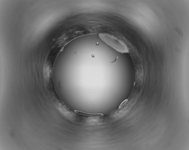 X0000112530574200908171423