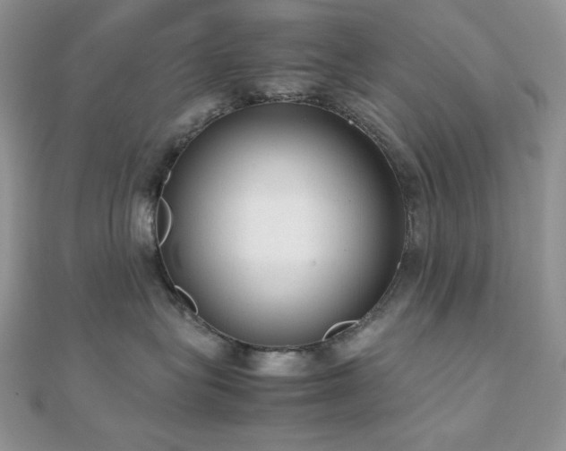 X0000112530575200908171423