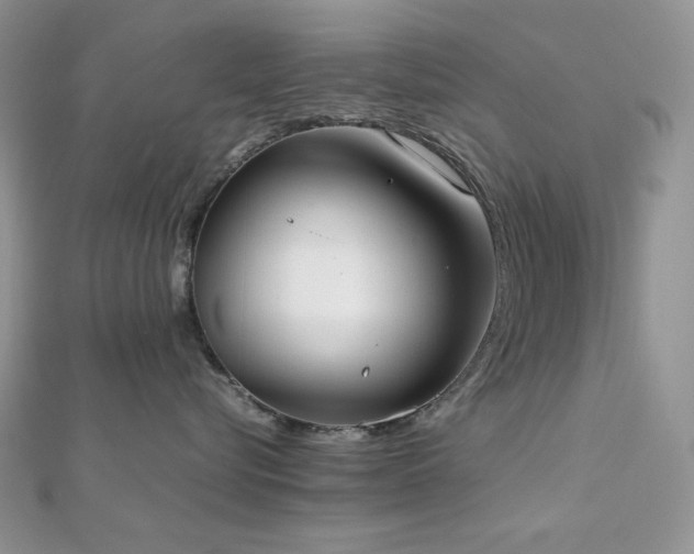 X0000112530576200908171423