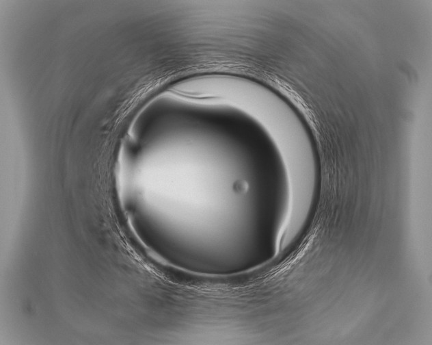X0000112530577200908171422