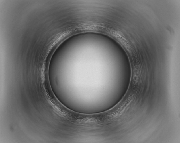 X0000112530578200908171422