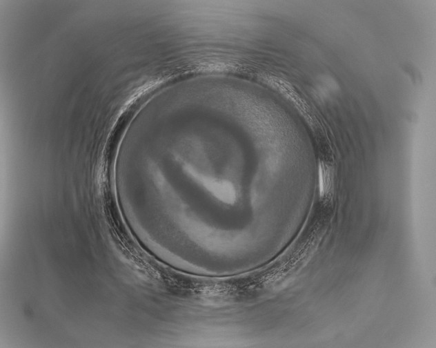 X0000112530579200908171422