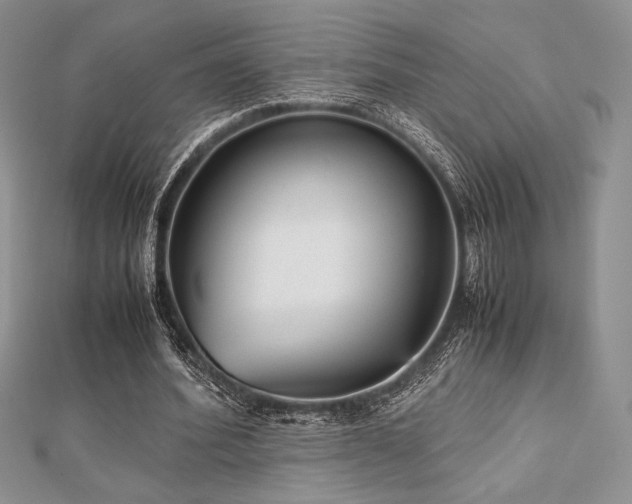 X0000112530580200908171422