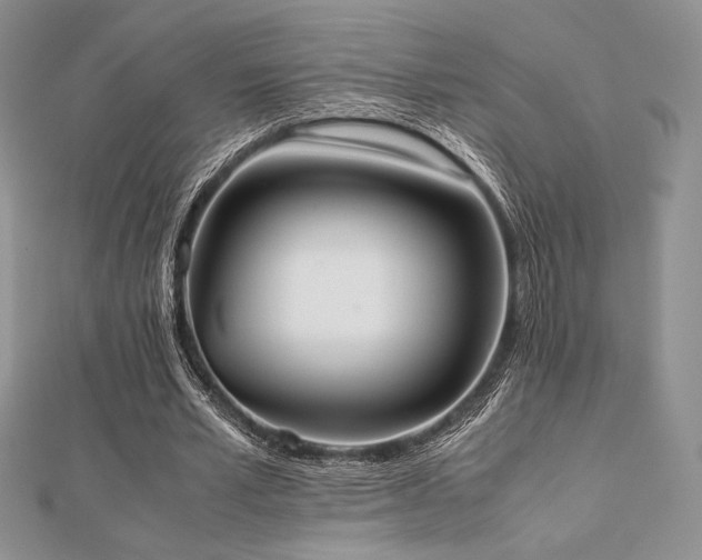 X0000112530581200908171422