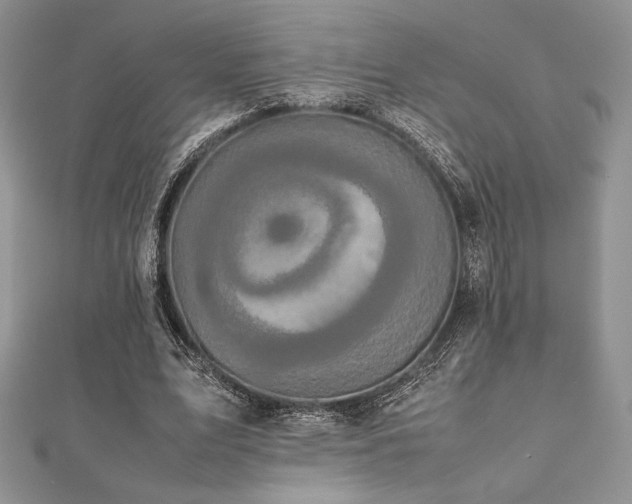 X0000112530583200908171422