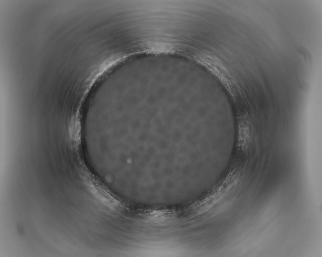 X0000112530584200908171422