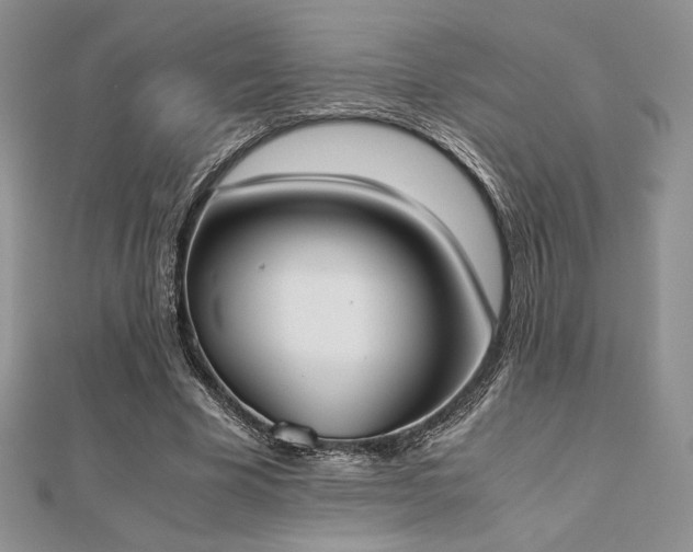 X0000112530585200908171422