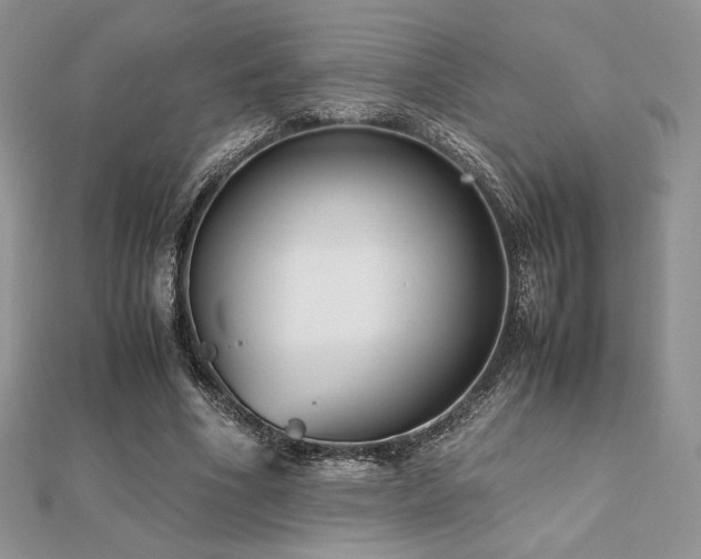 X0000112530586200908171422
