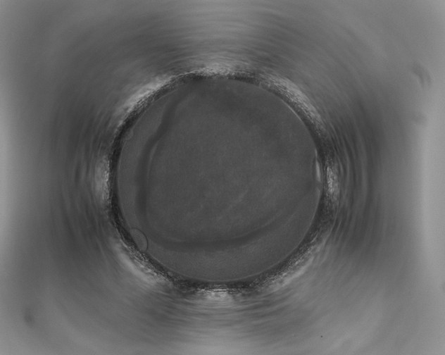 X0000112530588200908171422