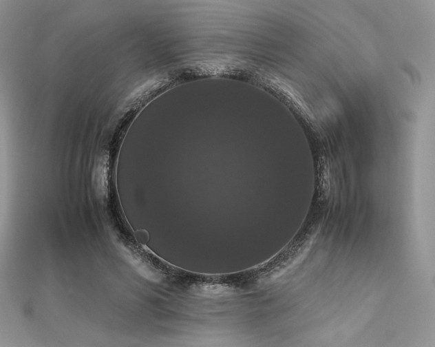 X0000112530590200908171422