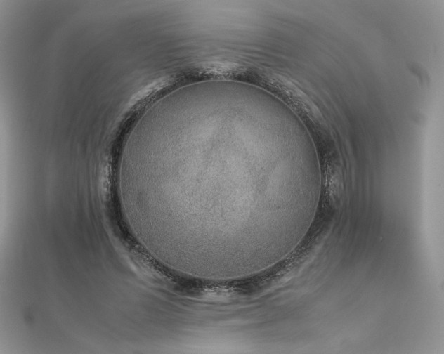 X0000112530591200908171422