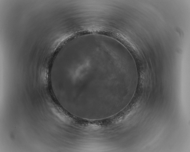 X0000112530592200908171422
