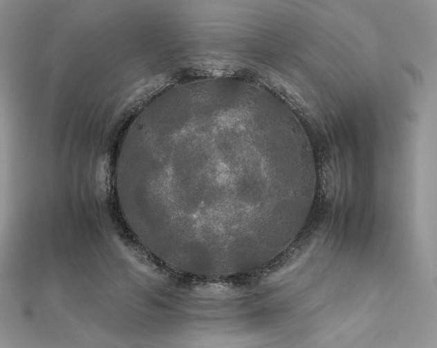 X0000112530594200908171422