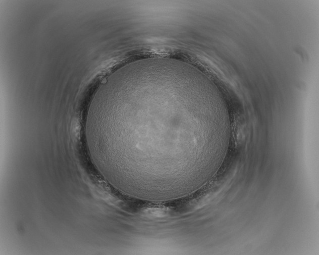 X0000112530595200908171422