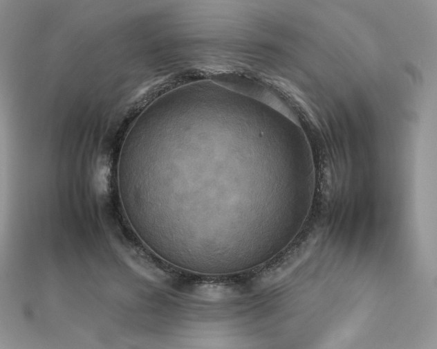 X0000112530596200908171422
