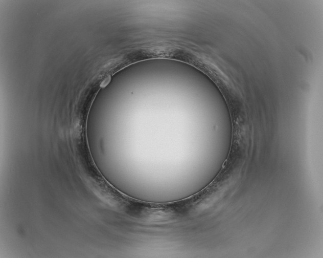 X0000112530597200908171422
