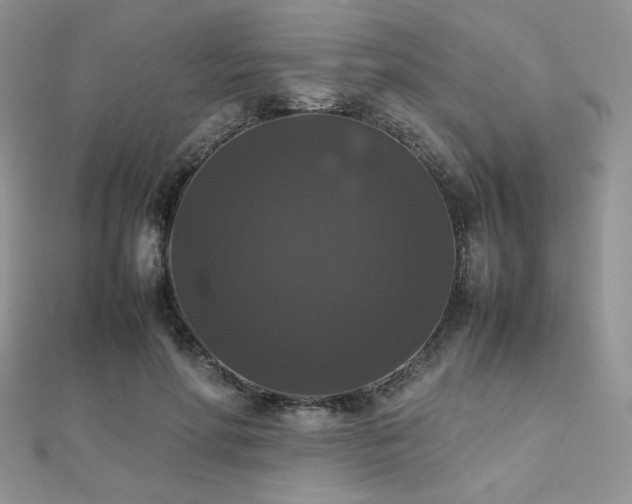 X0000112530598200908171422