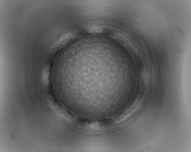 X0000112530600200908171422