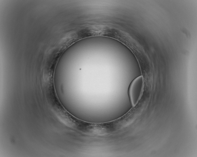X0000112530601200908171422