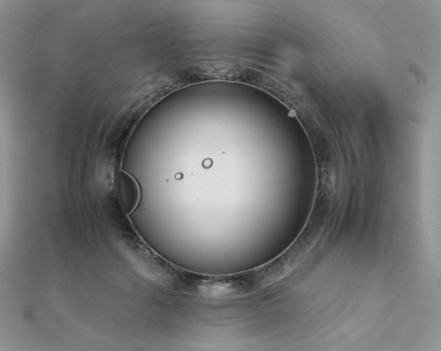 X0000112530602200908171422