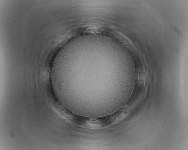 X0000112530603200908171422