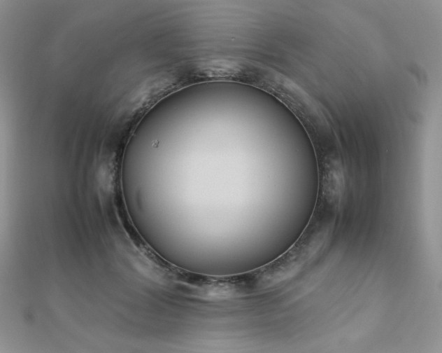 X0000112530604200908171422