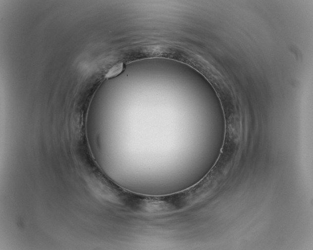 X0000112530605200908171422