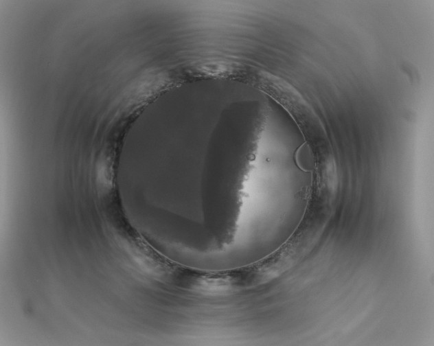 X0000112530606200908171422