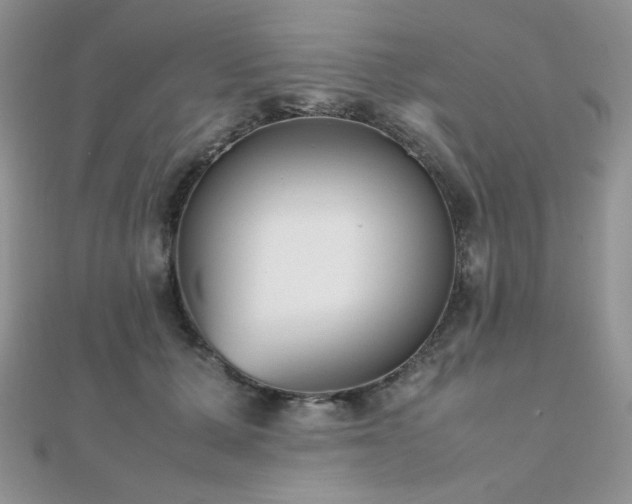 X0000112530607200908171422