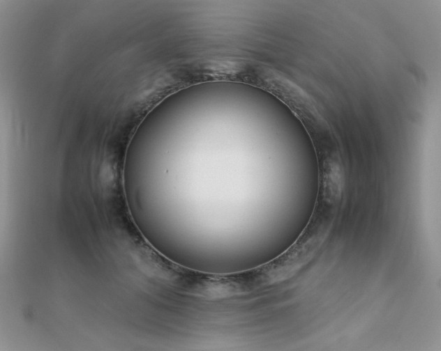X0000112530608200908171422