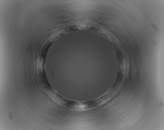X0000112530610200908171422