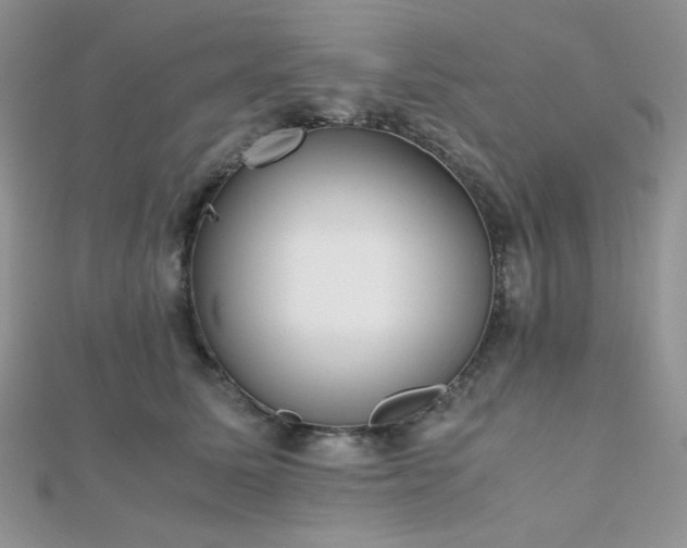 X0000112530611200908171422