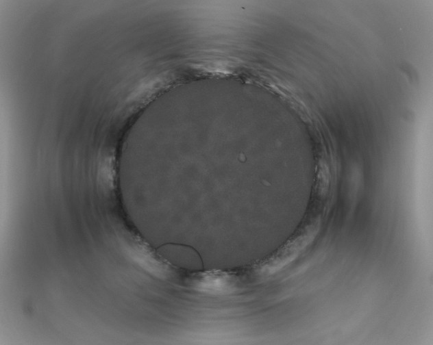 X0000112530612200908171422