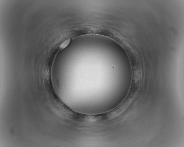 X0000112530613200908171422
