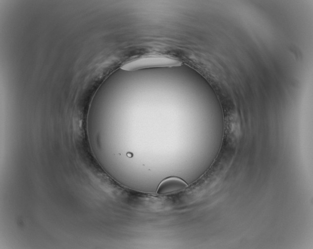 X0000112530615200908171422