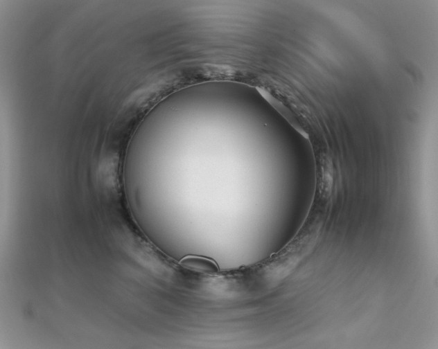 X0000112530616200908171422