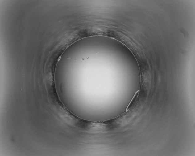 X0000112530617200908171422