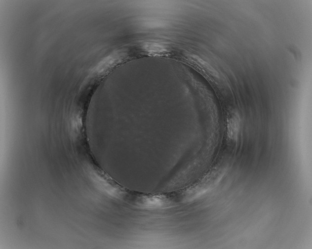 X0000112530618200908171422