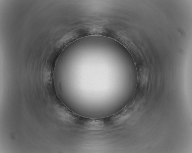 X0000112530619200908171422